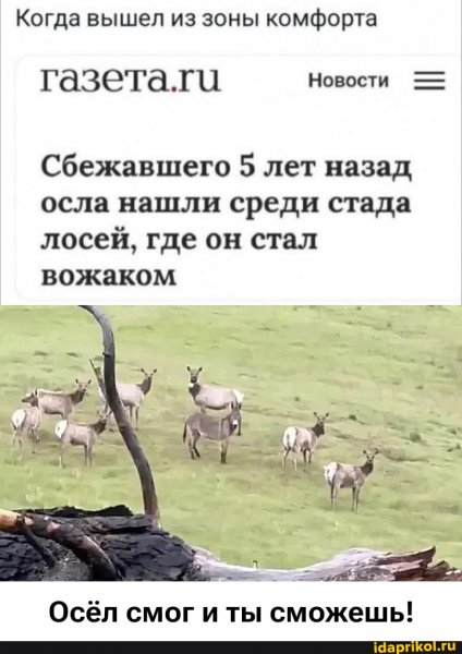 fb1201b2090e4d444fc2232d2f48c15377001150b 1