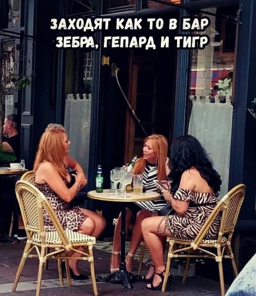 file_97157401
