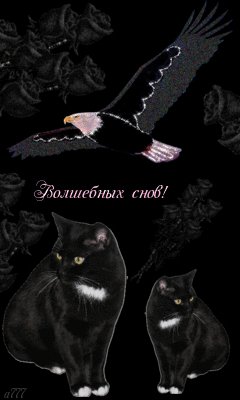 file_46564016