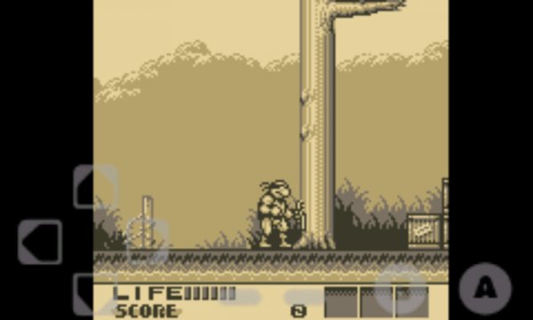 teenage mutant ninja turtles