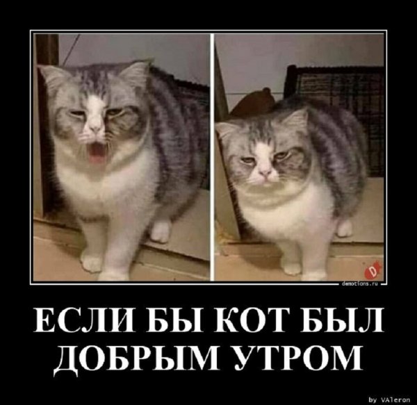 Если бы, да кабы