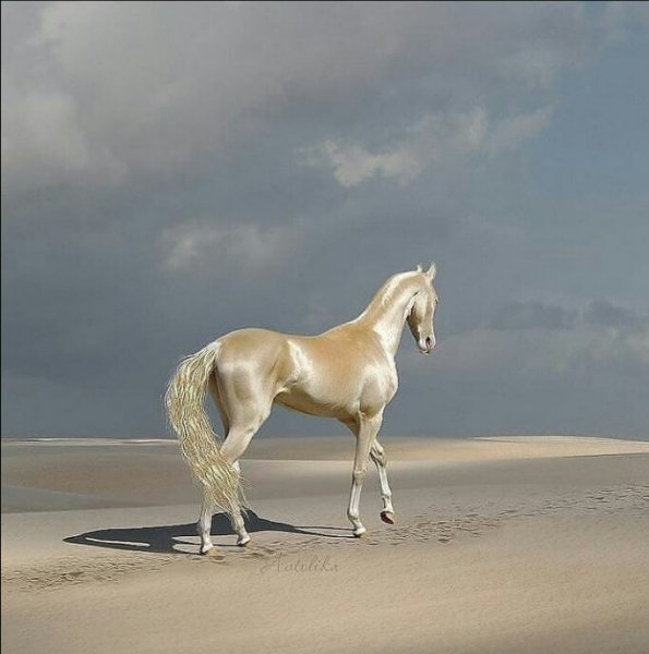 IMG 20211125 144945 940