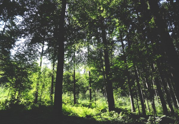 7QCITQYBUD-e1441889607453