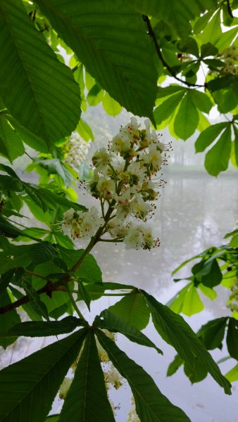 IMG 20250430 080417