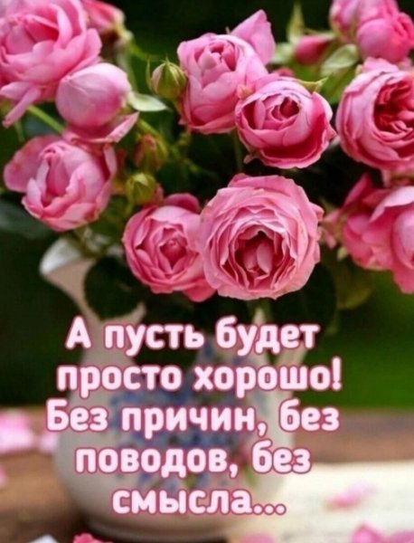 Screenshot 20250522 070339