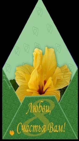 8 марта 05