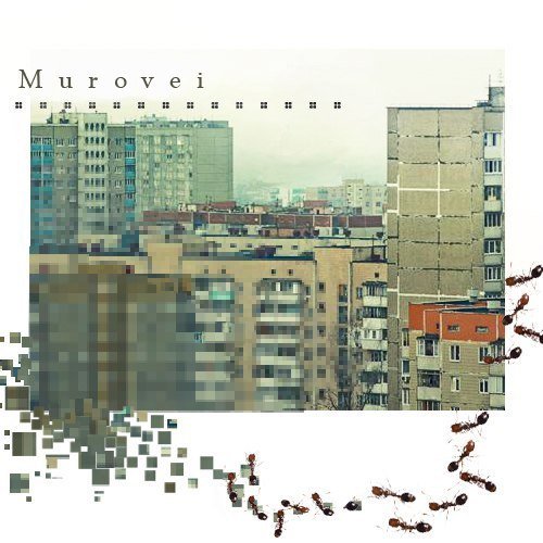 Murovei. Лучшее