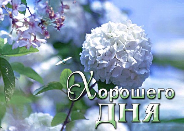 file_99148494