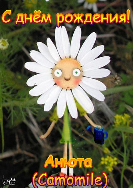 с днем рождения Анюта4