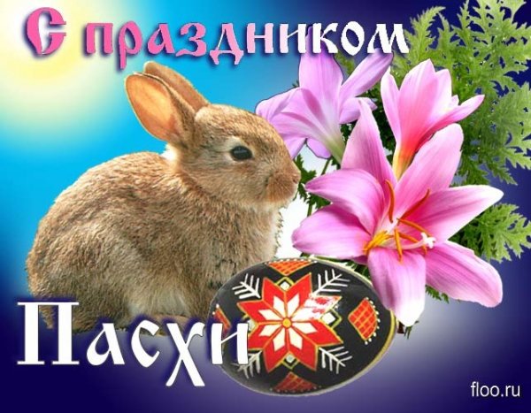 ХВ 12)
