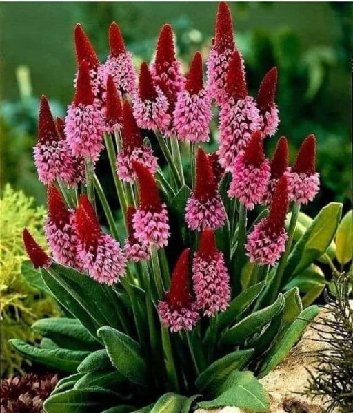 IMG-aa809269eb23f24dc483b45c5874574d-V