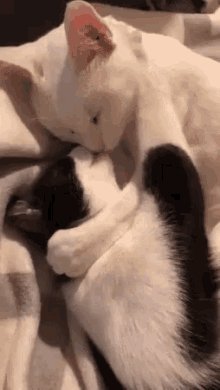 ЦЕЛУЮ ОБНИМАЯ