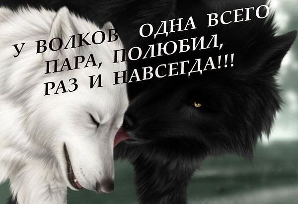 getImage (46)