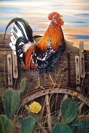 As a New Day Blooms by Scot Weir