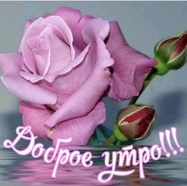 IMG 20190226 044142