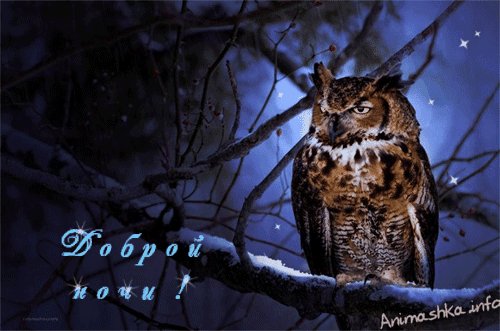 ДОБРОЙ НОЧИ