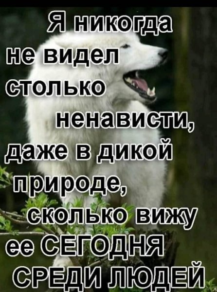 IMG 20210326 173725