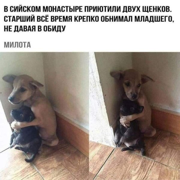 FB IMG 1623473837278