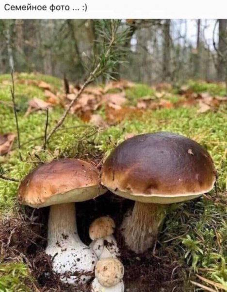 FB IMG 1716052268296