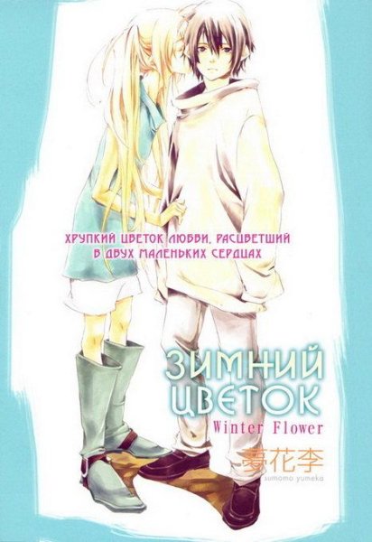 Winter flower - Зимний цветок