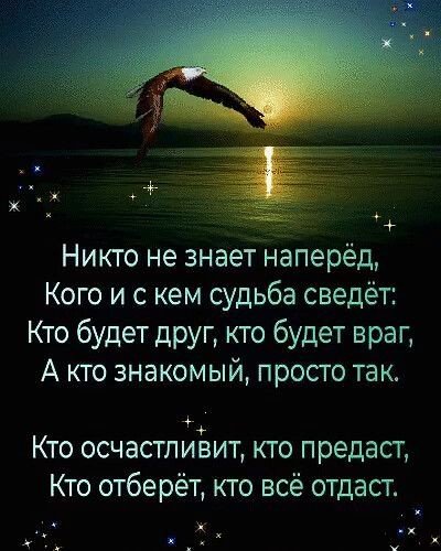 4b4393ac984c2a84feccb74092ded6b9