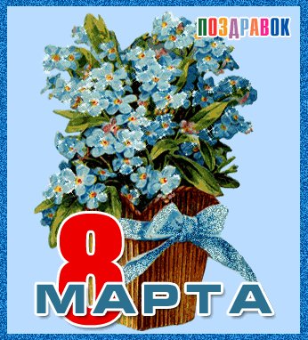 8-marta-tsvety