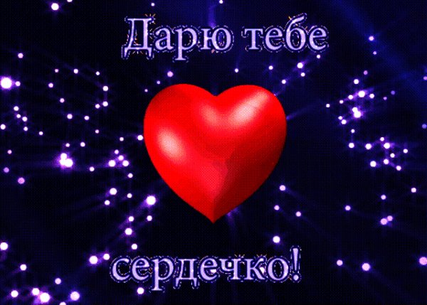 IMG 20180226 195631 45