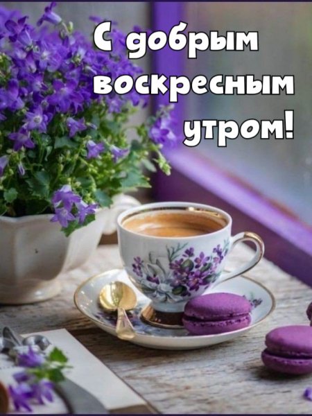 Dobroe-utro-kartinki ru 4060
