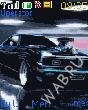 Muscle