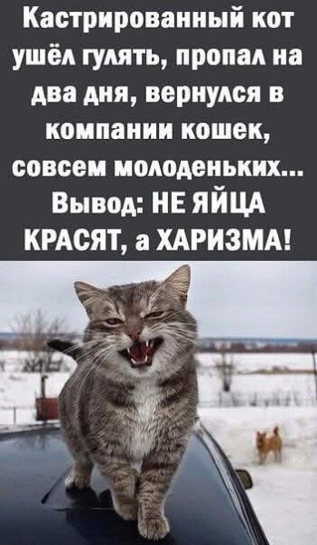 FB IMG 1766865766593