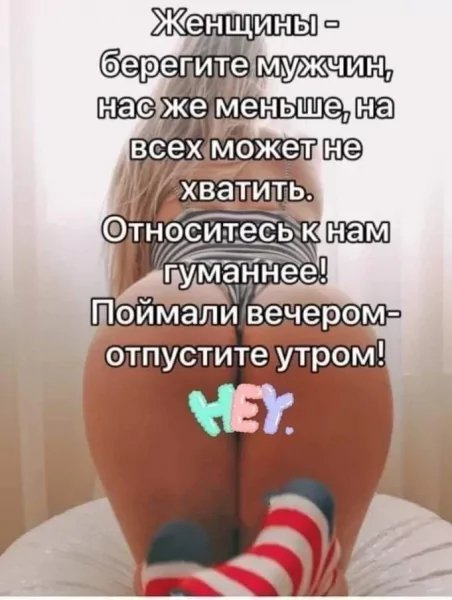 p.600.600.0