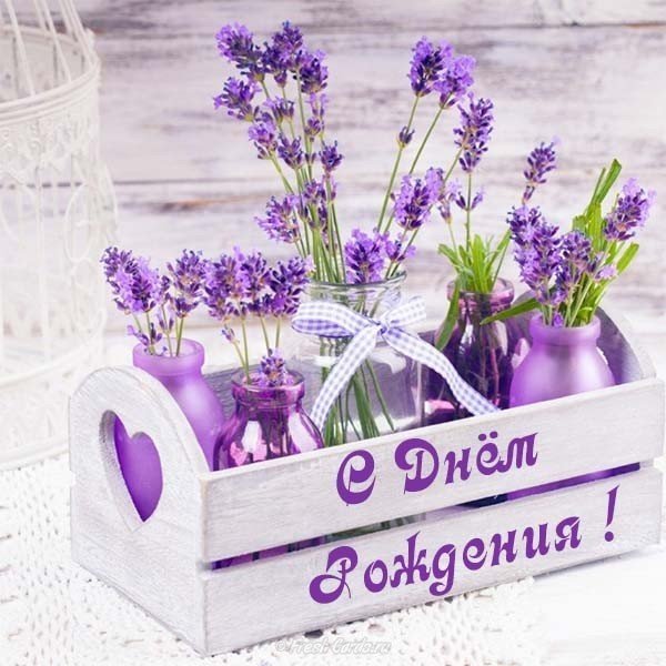 elektronnaya-otkrytka-s-dnem-rozhdeniya-zhenschine-besplatno