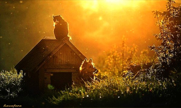 На рассвете