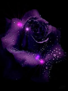 file_65100688