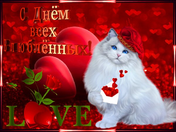 file_76561563