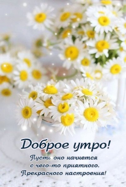 Доброе утро