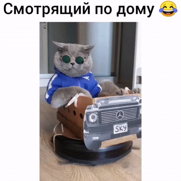 IMG 20221222 094524