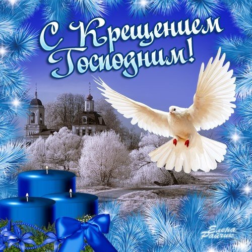 file_81303874