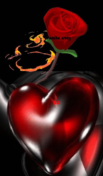 53d4b319391a9ad7163ee804fb8b7f4b