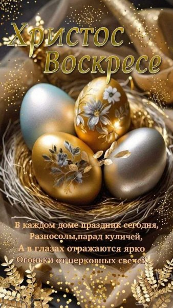 FB IMG 1714924771017