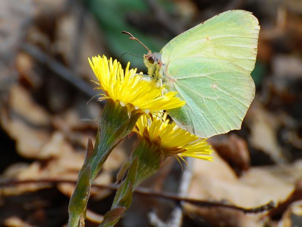 Ad16d90bf951ea52d499839c80px