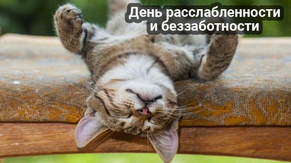 file_95057954