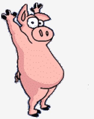 Pig