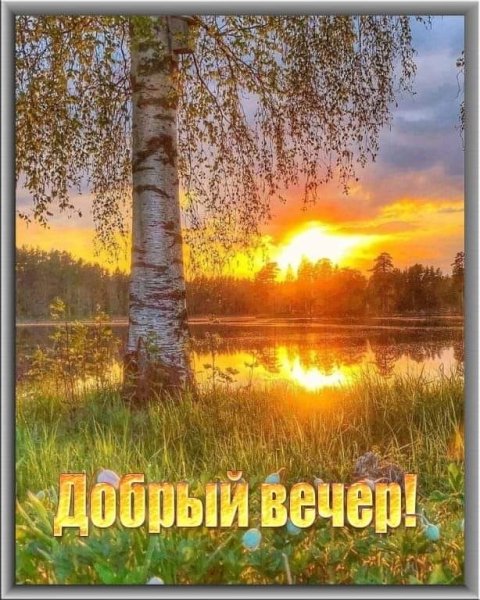 Добрый вечер