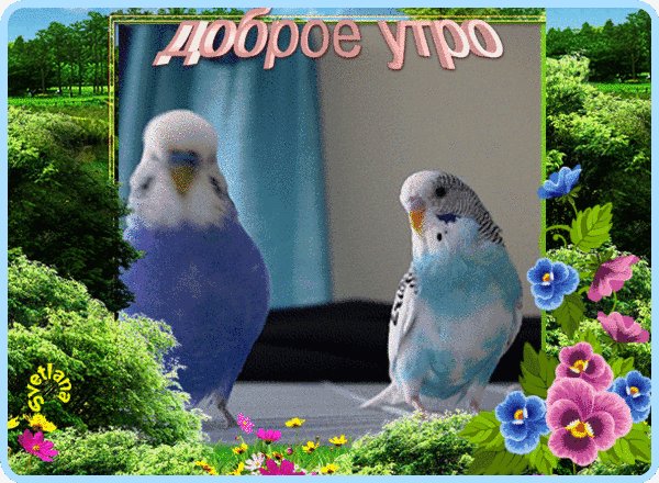 image (6)
