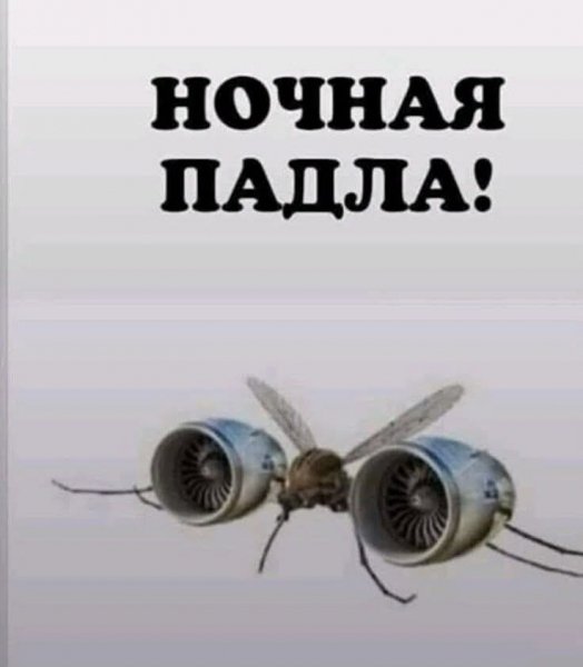 FB IMG 1771347682861