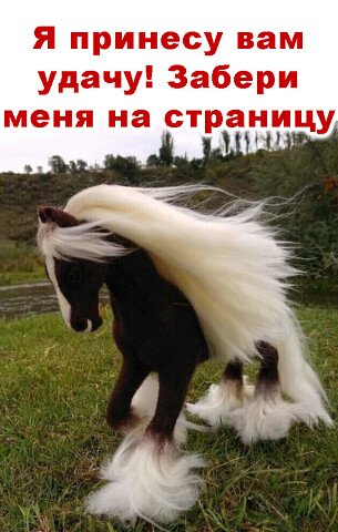 image (9)