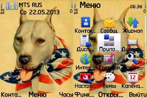 pitbull