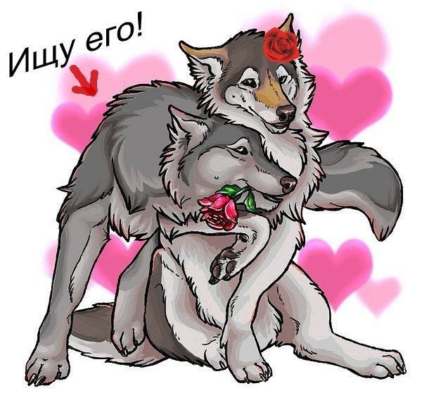 hnUymY00XEg