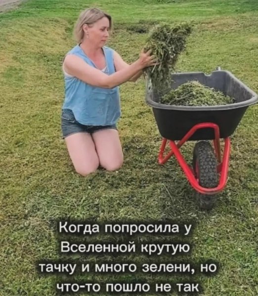 file_102931144